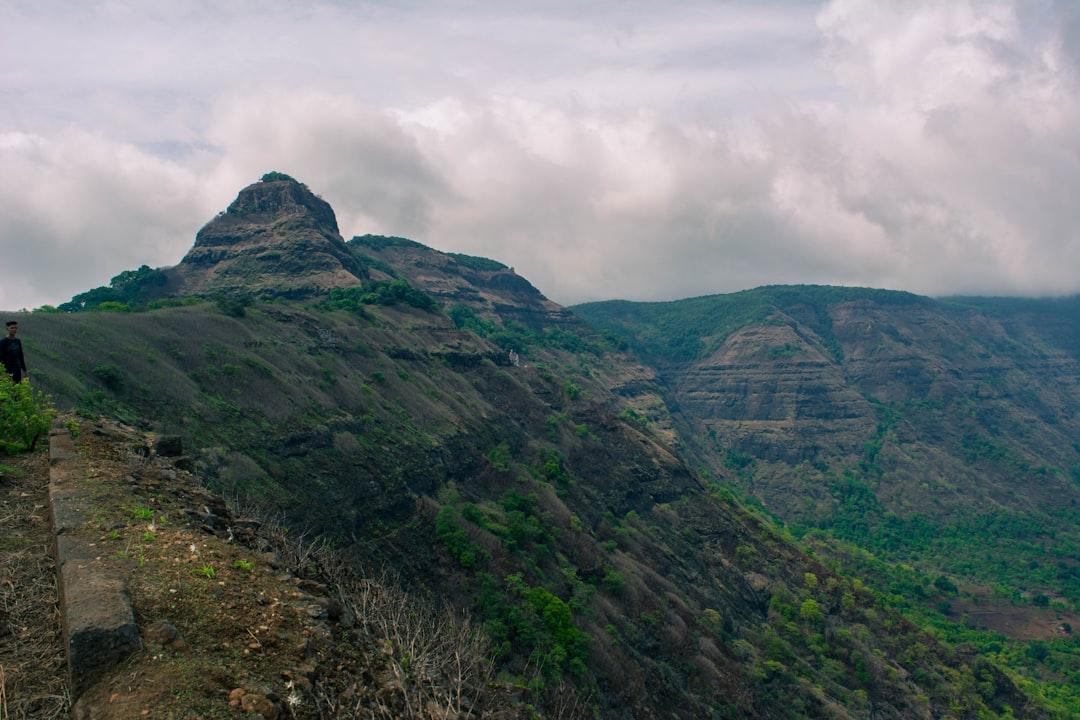 जळगावच्या केळी उत्पादकांवर अमेरिका-इराण तणावाचा परिणाम; निर्यात ठप्प झाल्याने शेतकरी चिंतेत