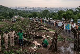 Tree Conservation Committee Allegedly Orders Felling of 19 Trees; Environmental Norms Violated on Earth Day