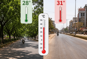 The Shade Solution: Solapur Heat Study Shows Tree-Lined Streets are 3 Degrees Cooler