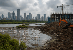 Green Alert: 'Third Mumbai' Project Under Fire for Threatening Wetland Ecosystems!