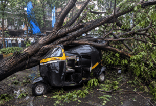 14-Year-Old Aarika Srivastava Dies After Massive Tree Falls on Moving Rickshaw!