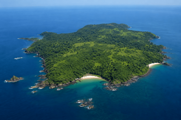 Discover Jamdul Island: Maharashtra’s Hidden Gem with a 600-Acre Mangrove Forest.
