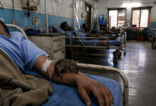 Medical Negligence? Rat Bites Patient Inside Mumbai Hospital While Undergoing Treatment for Previous Rat Bite!
