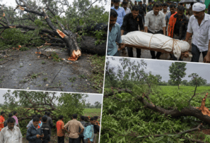 Fatal Storm in Nashik: 60-Year-Old Farmer Dies After Falling Tree Branch Crushes Him in Baglan
