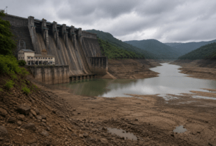 Koyna Dam Crisis: Water Levels Hit Critical Low