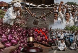 English: Onion Price Crash: Auctions Halted in Alephata, Farmers Call for 'Rasta Roko' on June 2.