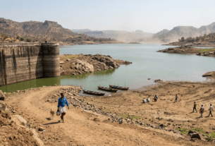 Total Storage Drops to 35%, Gangapur Dam at 47%