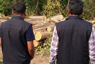 Massive ACB Strike in Nashik! 8 Forest Department Employees Trapped Red-Handed Over Teak Tree Cutting Bribe.