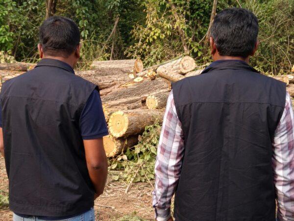 Massive ACB Strike in Nashik! 8 Forest Department Employees Trapped Red-Handed Over Teak Tree Cutting Bribe.

