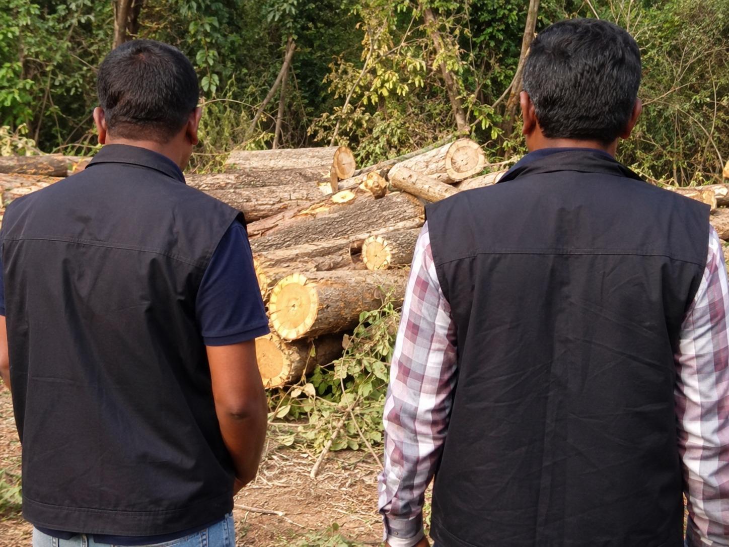 Massive ACB Strike in Nashik! 8 Forest Department Employees Trapped Red-Handed Over Teak Tree Cutting Bribe