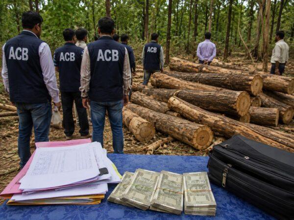 Vidarbha Forest Corruption: 8 Arrested by ACB for Accepting Bribe to Clear Teak Wood Felling Permits!
