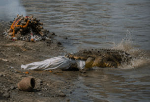 Son-in-Law Dragged Away by Crocodile During Mother-in-Law's Funeral Rites!