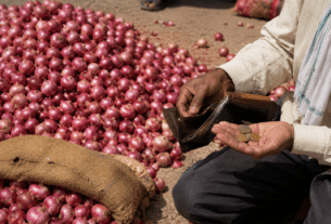 Farmer Sells 602 kg Onions for Just Rs 301, Incurs Rs 1,538 Net Loss After Deducting Transport Costs