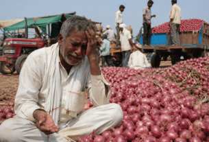 Beed Farmer Earns Absolute Zero After Selling Onion; Forced to Pay Rs 301 Extra From Pocket for Transport!