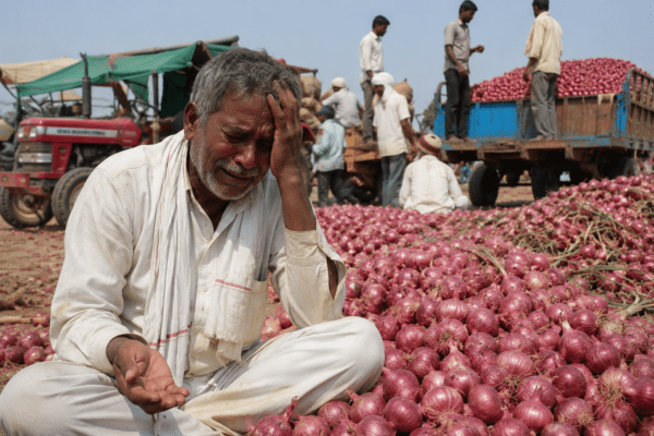 Beed Farmer Earns Absolute Zero After Selling Onion; Forced to Pay Rs 301 Extra From Pocket for Transport!
