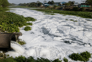 Pavana River in Peril: Toxic Foam Floats Again as River Turns Into a Drainage Stream.