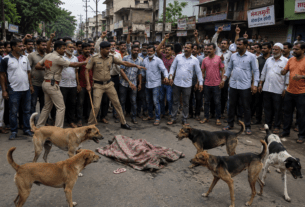 Bhusawal Shaken: 5-Year-Old Boy Mailed to Death by Stray Dogs; Citizens Outraged!