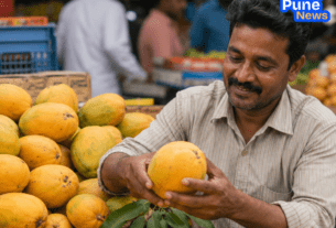 Good News for Mango Lovers: Nepal Refutes Ban on Indian Mangoes; Import Continues as Usual