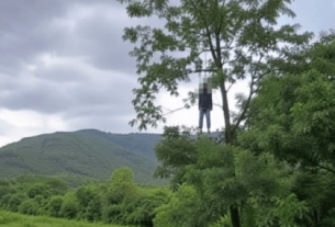 Palghar Youth Zooms into Scenic Hill Photo, Discovers Hanging Body on a Tree in Virar.