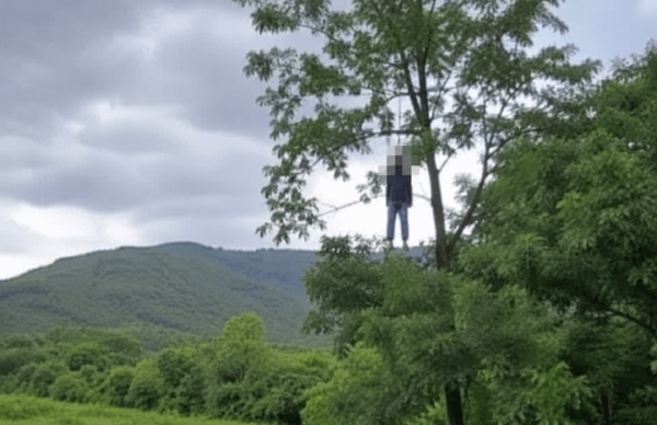Palghar Youth Zooms into Scenic Hill Photo, Discovers Hanging Body on a Tree in Virar.

