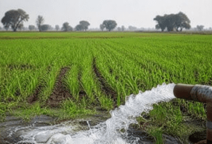 When Will Farmers Receive the Rs2,000? Check Latest Official Updates and Mandatory Requirements