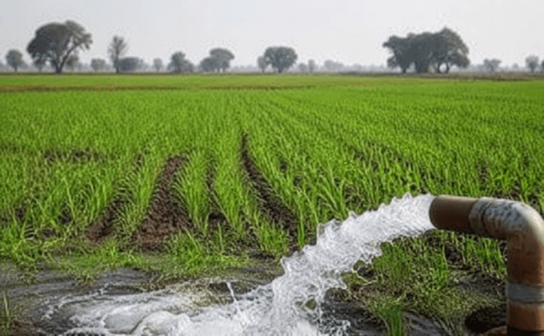 When Will Farmers Receive the Rs2,000? Check Latest Official Updates and Mandatory Requirements
