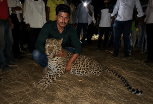 Young Farmer Mukesh Dongare Fights Off and Captures Leopard Alive in Jamner.