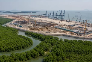Bombay HC Permits Felling of 208 Mangroves for Highway Connectivity.
