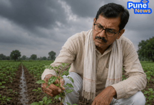 Monsoon Update: Rain Intensity Set to Increase After June 15