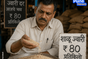 Jowar Prices Skyrocket in Maharashtra: Poor Harvest and Crop Losses Drive Rates to ₹80 per Kg; Common Man’s 'Bhakri' Becomes Costlier!
