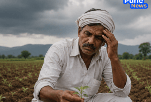 El Niño Impact: Weak Monsoon Ahead for Maharashtra; Experts Advise Farmers to Wait for Sowing