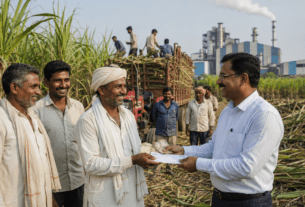 Sugarcane Price Update: Farmers Receive Final FRP of ₹3,131.72 per Metric Ton; Payment Credited Directly to Bank Accounts