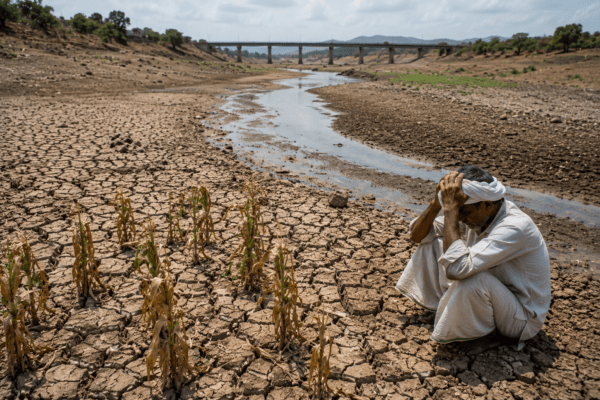 Kolhapur Water Crisis: Irrigation Department Re-imposes Ban on River Water Pumping; Farmers Face Severe Khareef Season Hurdles.