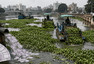 ₹8 Crores Down the Drain? Waterlogging and Hyacinth Surge in Pune Rivers Despite Massive 4-Year Spend