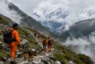 Uttarakhand Missing Case: Software Engineer from Noida and Young Woman from Ramnagar Go Missing During Treks.