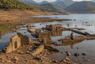 History Resurfaces: Ruins of Submerged Bamnoli Village Emerge as Koyna Dam Water Levels Drop.