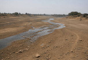 Bhima River Dries Up in Daund: Water Level Hits Rock Bottom, Severe Crisis for Drinking and Irrigation.