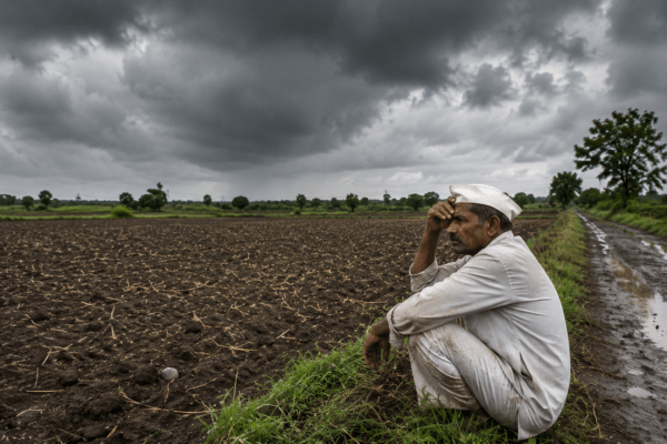 Monsoon Delay Hits Sangli: Kharif Sowing Delayed Amid Rainfall Deficit!  