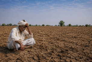 Clouds Disperse, Anxiety Deepens: Delayed Monsoon Causes Growing Concern Among Vidarbha Farmers for Kharif Season.