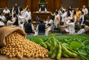 Soybean Seed Target Cut Sparks Controversy in Maharashtra Assembly; Farmers' Future at Stake.