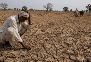 Drought Crisis in Mangalwedha: Kharif Sowing Stalled Across 35,000 Hectares as Farmers Await Rain