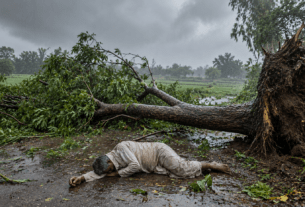 Tragedy in Pune: Farmer Killed After Tree Collapses During Heavy Rain and Windstorm in Chandoli Budruk!