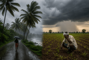 Monsoon Arrives in Kerala: Vidarbha on High Alert for Heavy Rains!