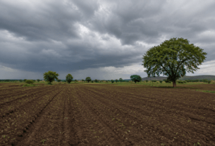 Monsoon Alert: Progress Slows Down Across Maharashtra; Government Strongly Advises Farmers to Avoid Sowing Until June 15!