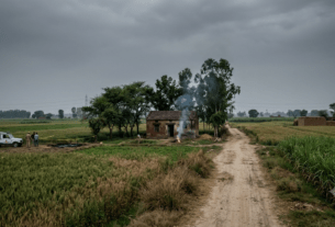 Horrific Betrayal: Wife Drugged and Burned Husband Alive with Petrol at Her Lover's Behest in Baghpat!