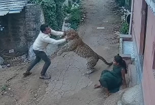 Brave Father's Fight for Life: Man Rescues Daughter from Leopard Attack in Ahilyanagar!