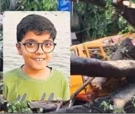 Probe Report Blames Tree Cementing for Fatal Tree Fall