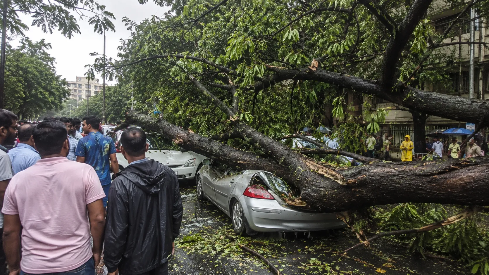Mumbai Mayor Ritu Tawde Rejects Chembur Tree Collapse Inquiry Report, Warns of Complaint Against Commissioner to CM"
