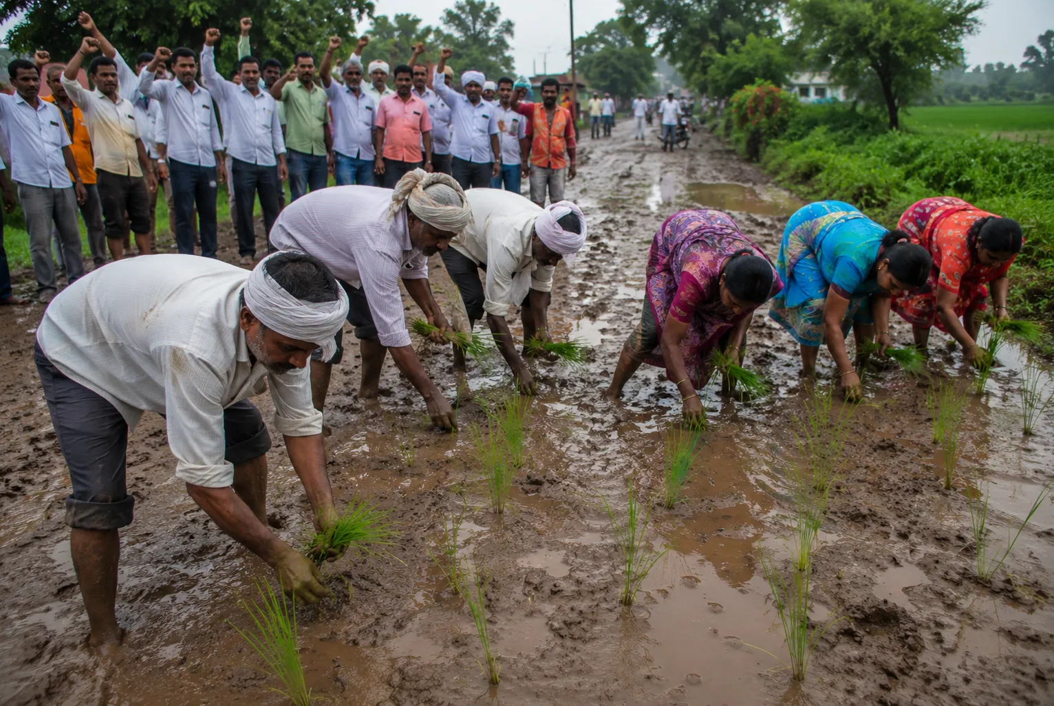 Angry Farmers Protest Bad Roads by Planting Paddy on Waterlogged Potholes: Gosekhurd Rehabilitation Area Residents Express Outrage Over 26-Year Neglect"