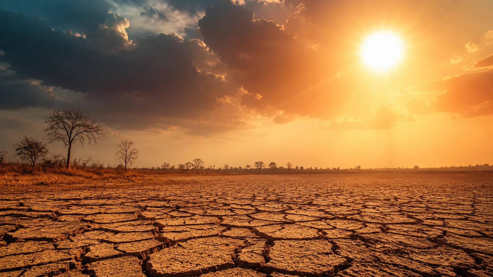 Monsoon Break in July: IMD Explains Why Rains Weakened and Temperatures Soared in Maharashtra